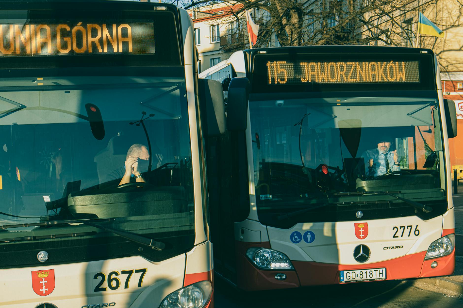Obchody 81. rocznicy zakończenia II wojny światowej w Piławie Górnej - oferta pracy